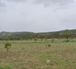 Resale - Land - Yecla - Rural location