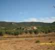 Resale - Land - Villena - Rural location