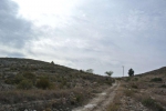 Resale - Land - Jumilla - Rural location