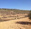 Resale - villa - Pinoso - Rural location