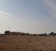 Resale - Land - Pinoso - Rural location