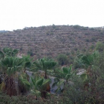 Land - Resale - Gandia - Rural location