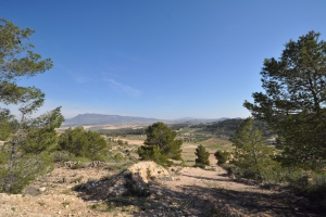 Land - Resale - La Zarza - Rural location