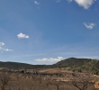 Resale - Land - Yecla - Rural location