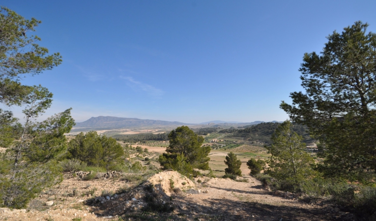 Resale - Land - La Zarza - Rural location